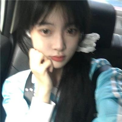 金车美人